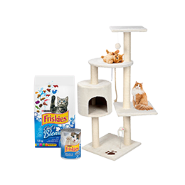 Chat