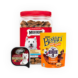Nourriture pour Chiens