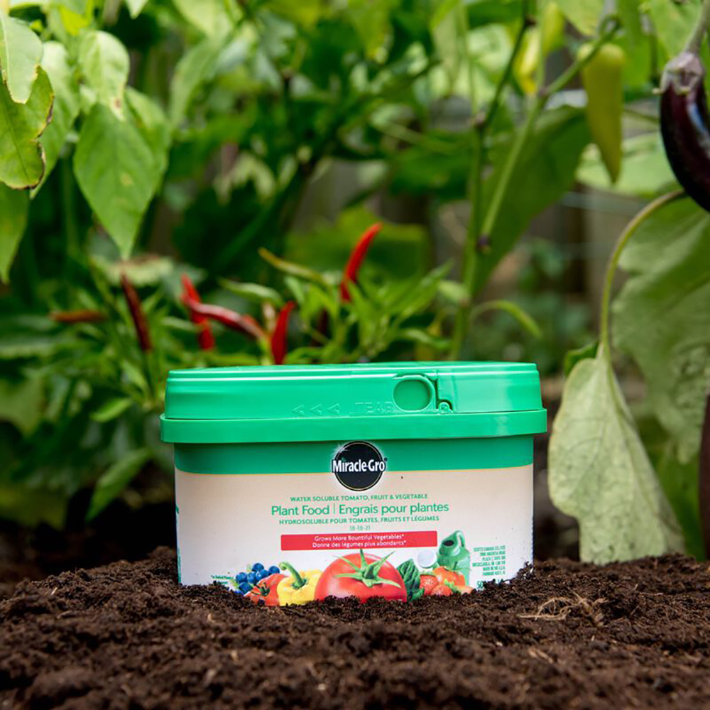 Water Soluble Tomato, Fruit & Vegetable Plant Food 181821, 500g