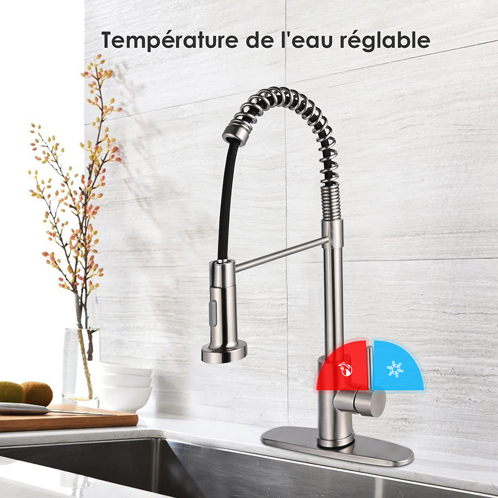 Robinet d'évier de cuisine avec pulvérisateur à ressort à poignée unique en acier inoxydable