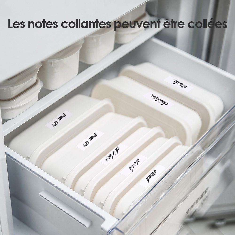 Conteneurs de conservation des aliments en plastique