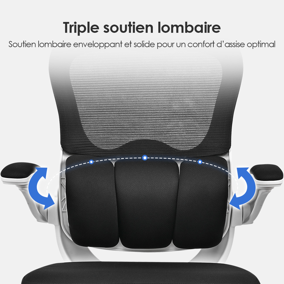 Chaise de bureau ergonomique avec soutien lombaire 3 niveaux et ...