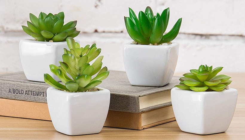 Un ensemble en pot Plantes succulentes artificielles Plantes