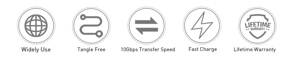 Five grey circular icons labeled widely used, tangle-free, 10Gbps transfer speed, fast charge, and lifetime warranty