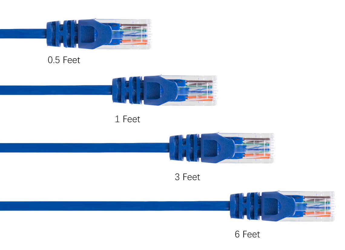 Multiple Lengths