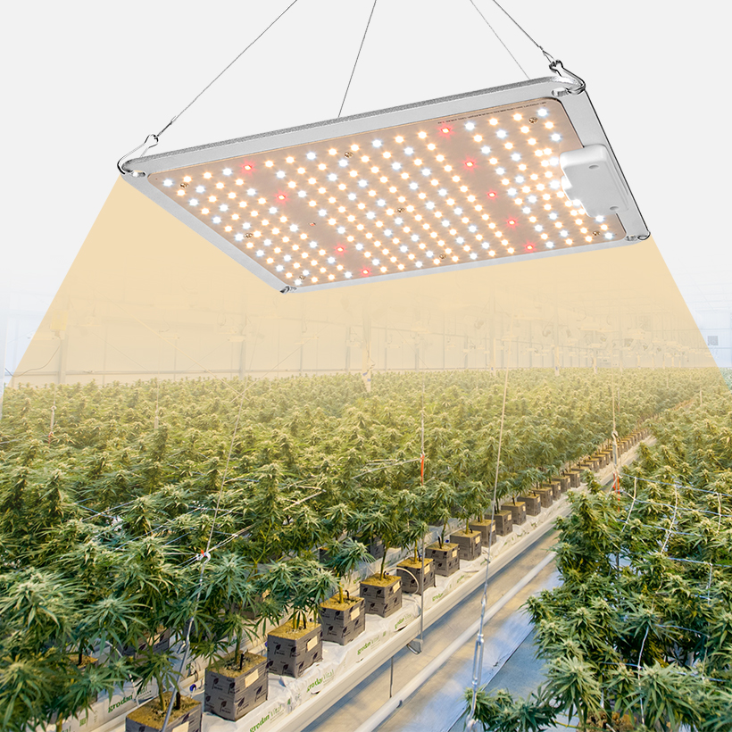 その他 JIGA GROW LIGHTS BJ-270EVO Samsung LED LED Grow Light with Samsung Chips & Mean Well Driver - LIVINGbasics®