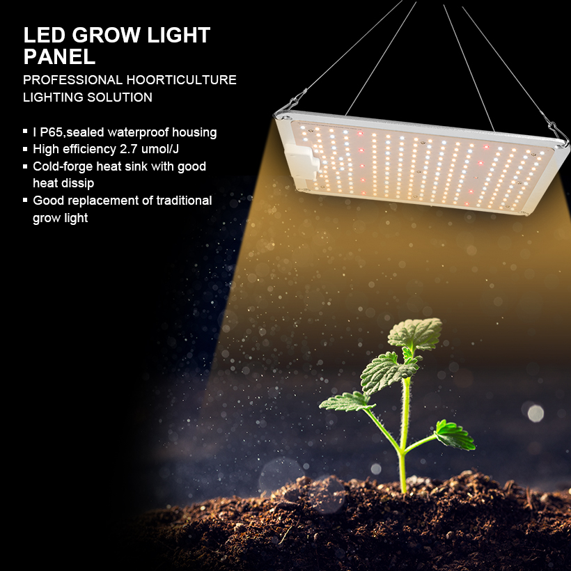 LED Grow Light with Samsung Chips & Mean Well Driver - LIVINGbasics®