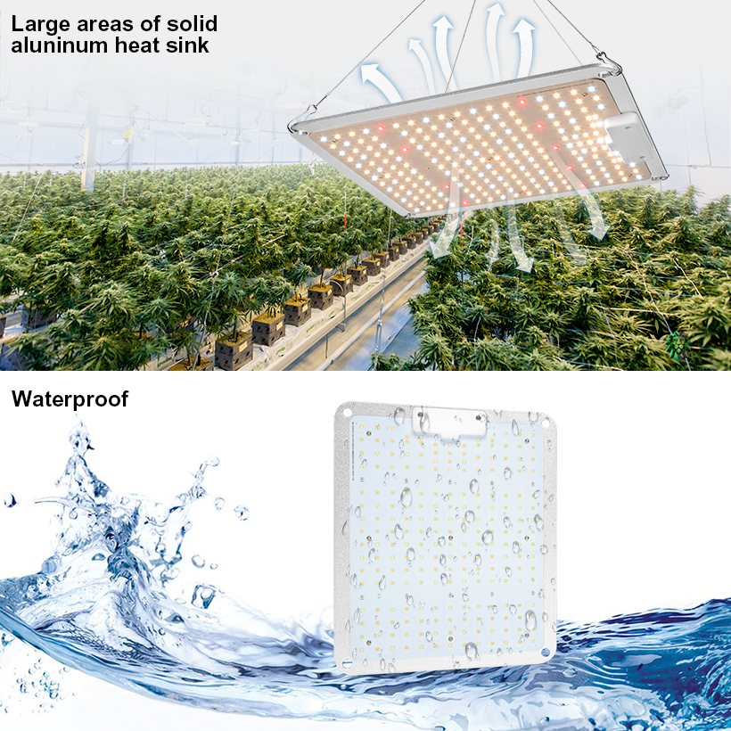 LED Grow Light with Samsung Chips & Mean Well Driver - LIVINGbasics®
