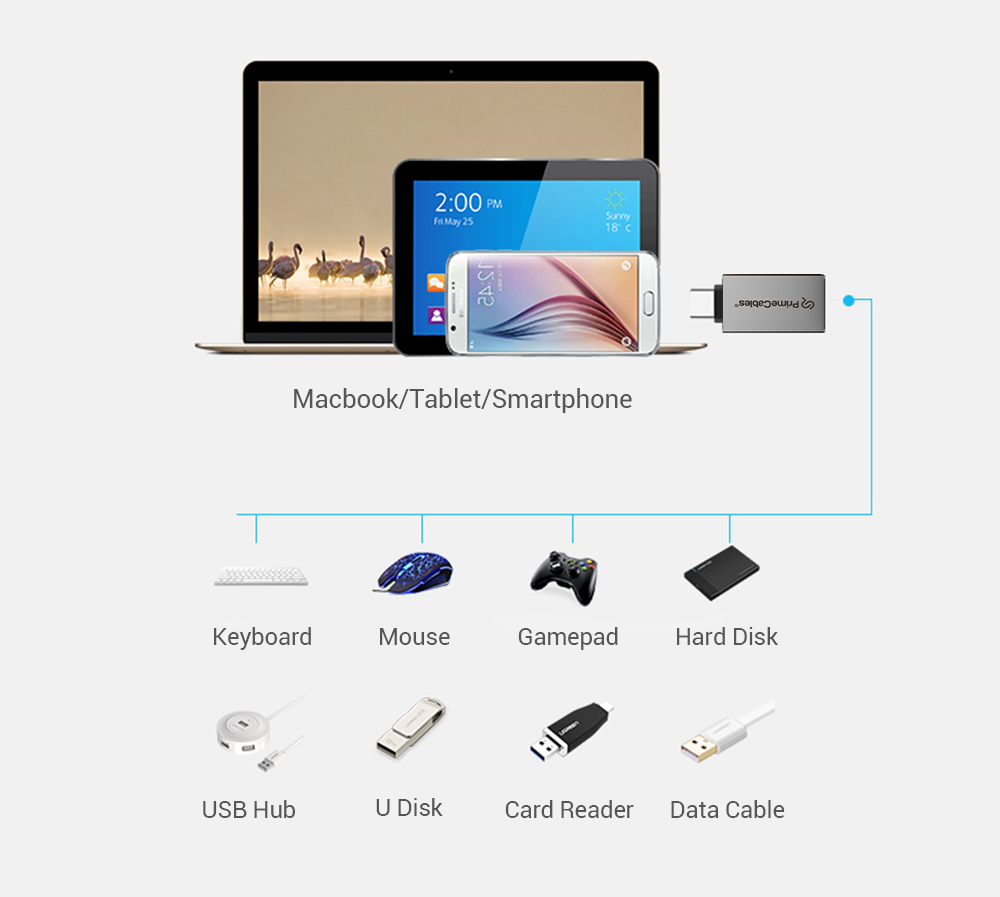 USB Type-C to Type-A adapter compatible with keyboards, mice, drives, and other USB devices