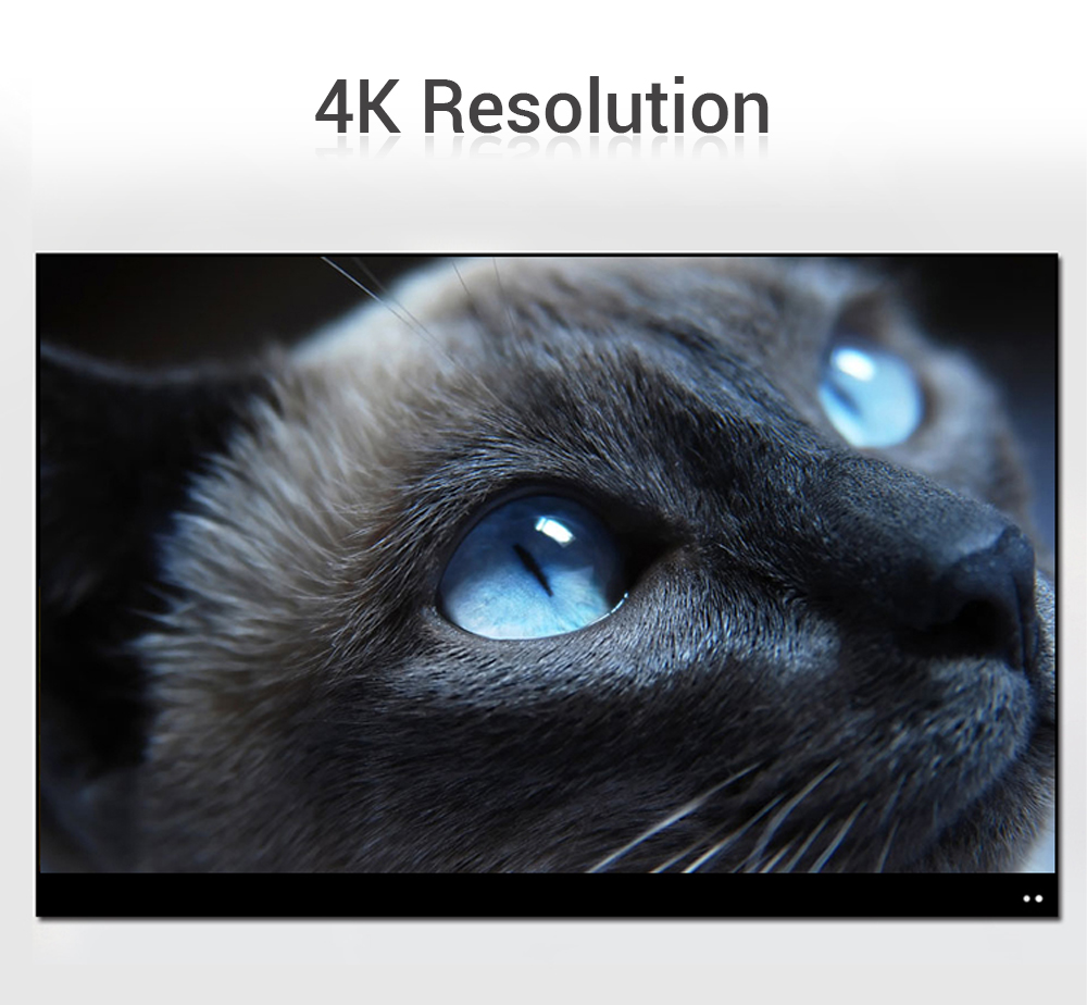 PrimeCables USB-C to mini DisplayPort adapter supports video resolutions up to 4K@60Hz