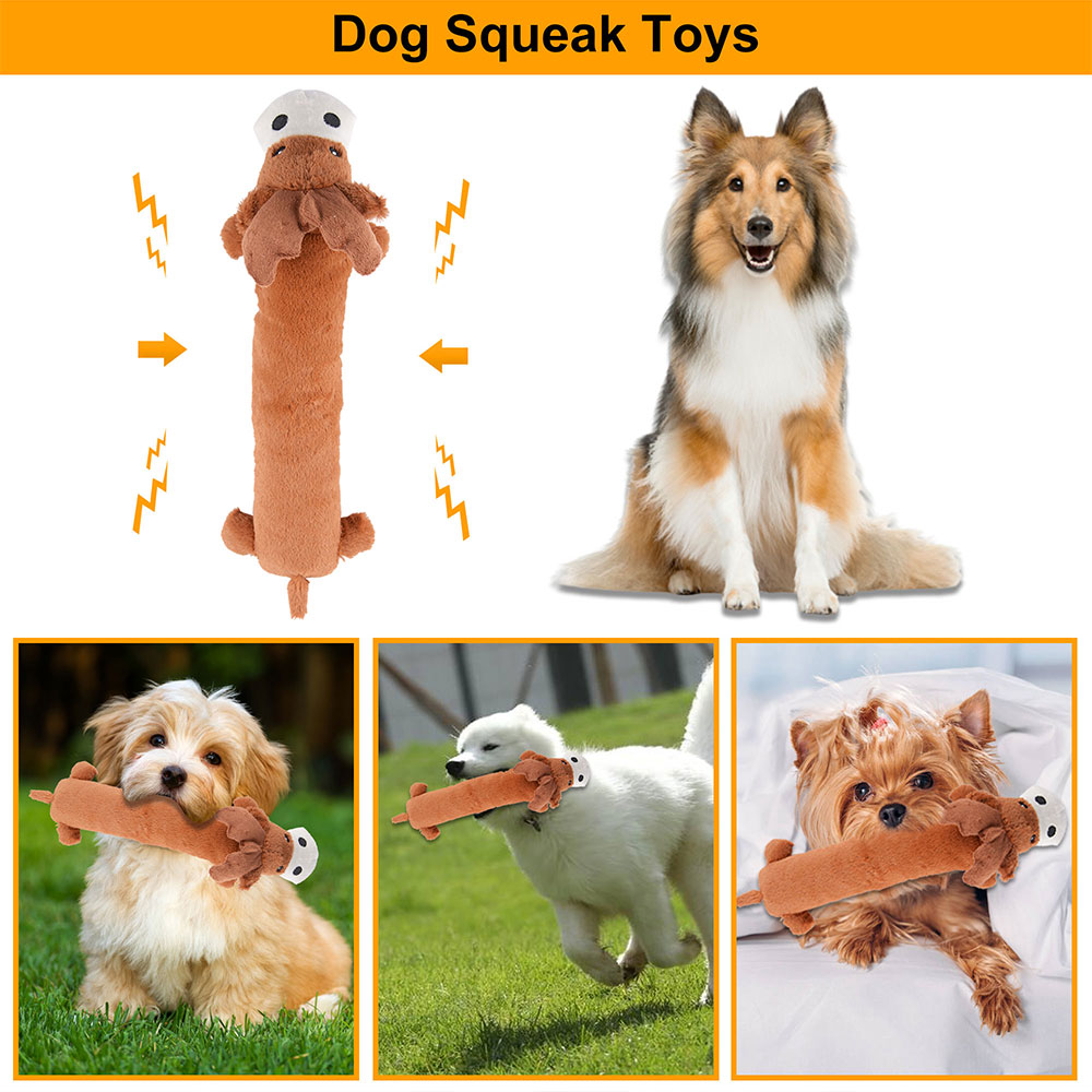 Jouets couineurs pour chiens