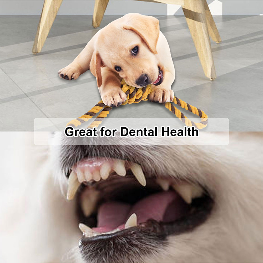 chiots jouets à mâcher nettoyage des dents