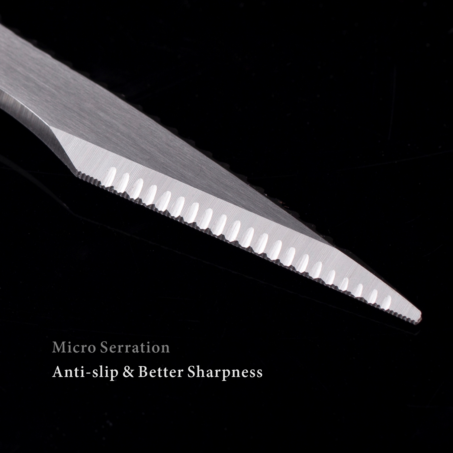 Stainless Steel Sharp Blades