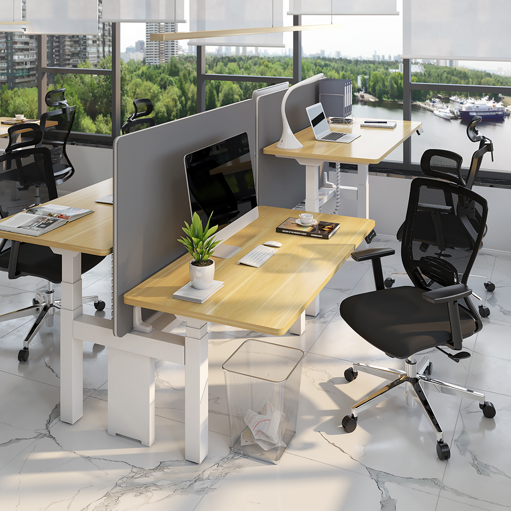 The dual workstation electric standing desk frame is suitable for the modern open office