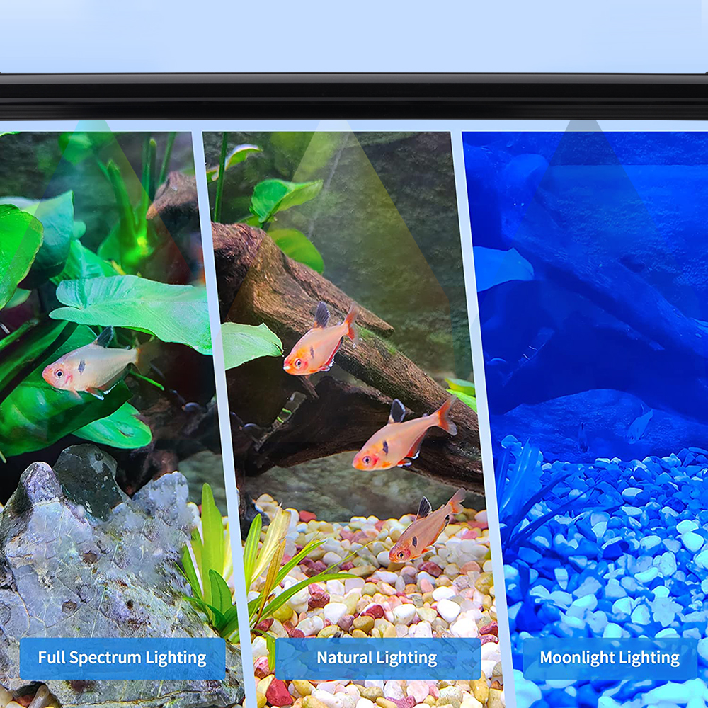 Blue and White Colorful LED Aquarium Light with Extendable Brackets