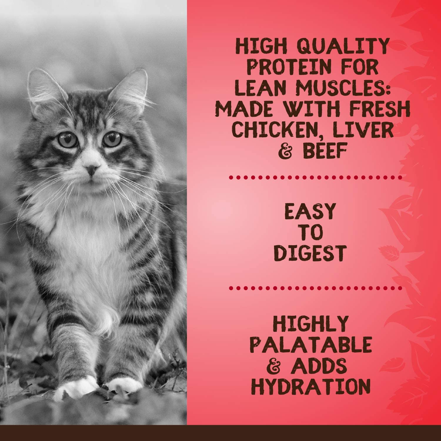 Pate Wet Food with Prairie Beef for Cats