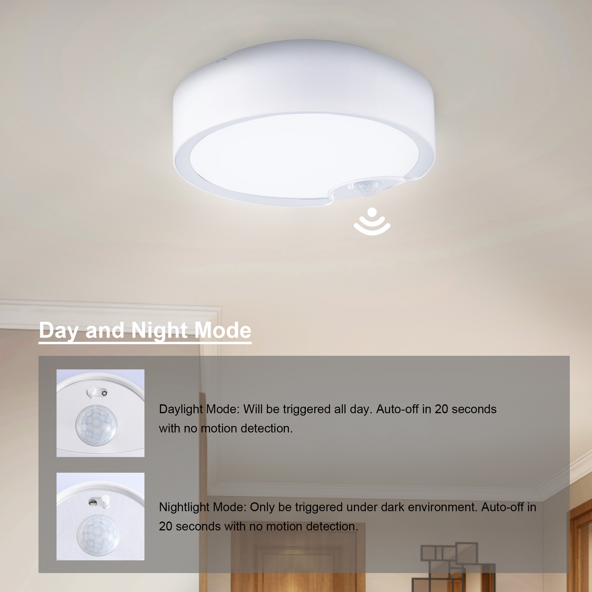 Day and Night Mode