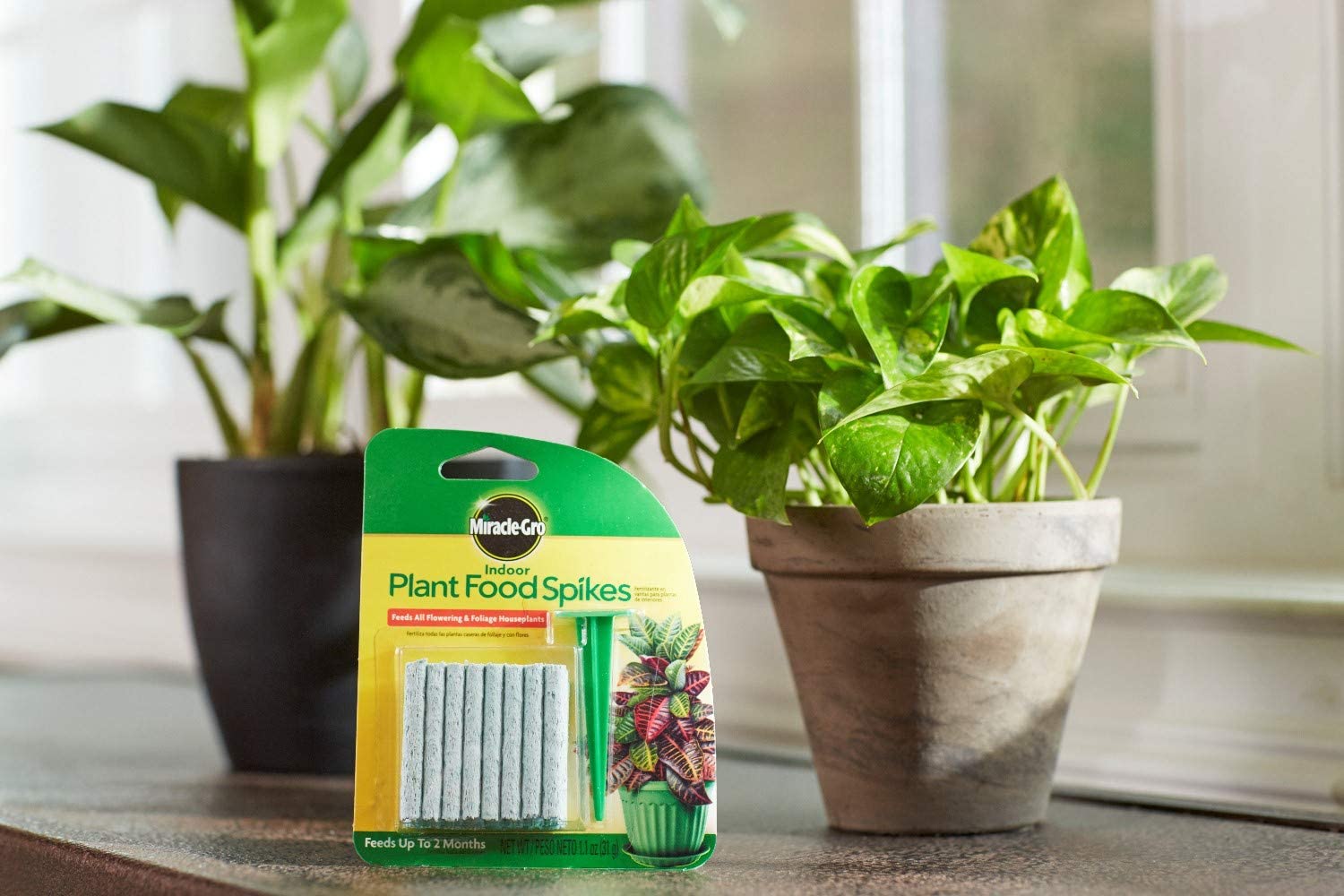 Indoor Plant Food Spikes, Includes 24 Spikes MiracleGro