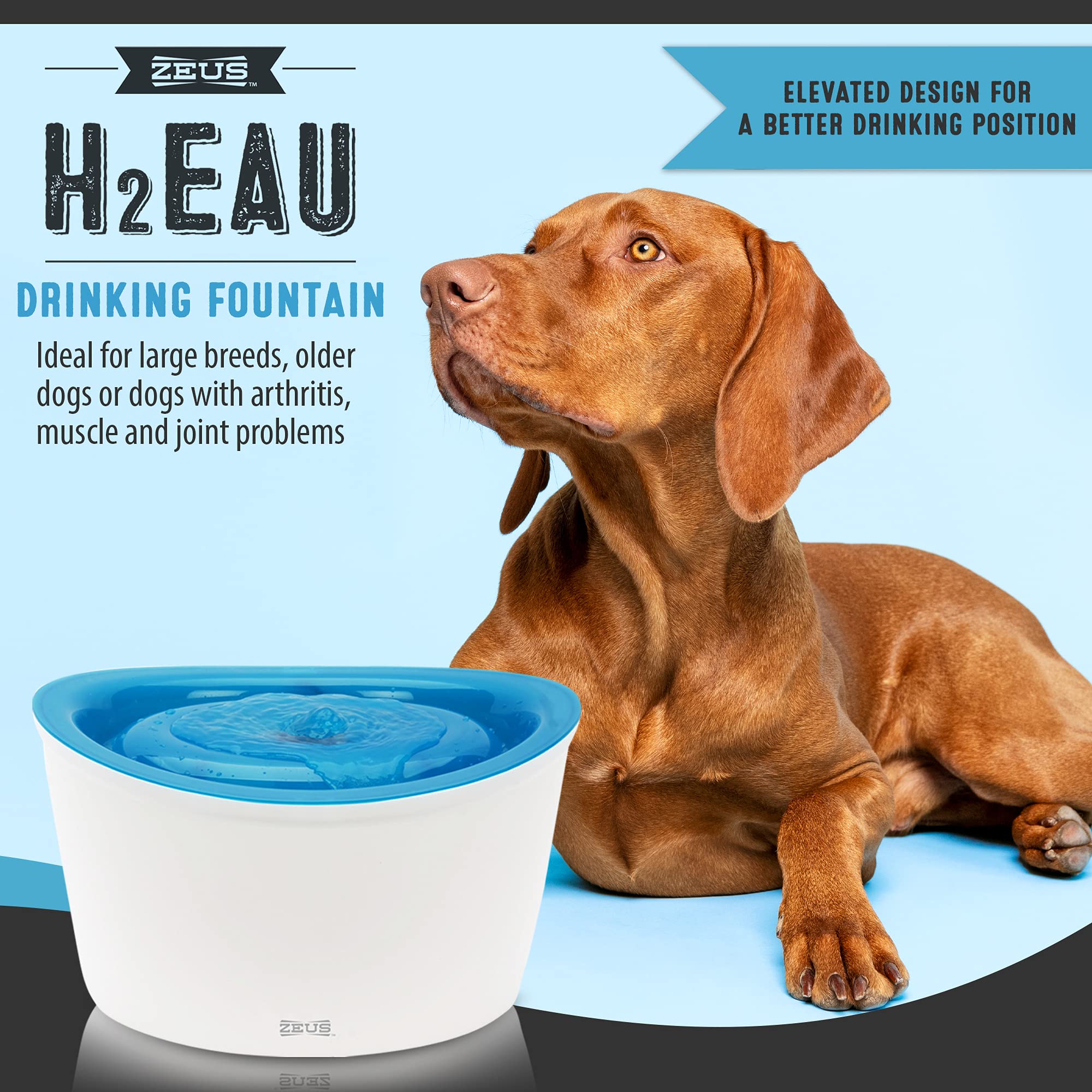 H2EAU Fresh & Clear Elevated Dog and Cat Water Dispenser, 6L
