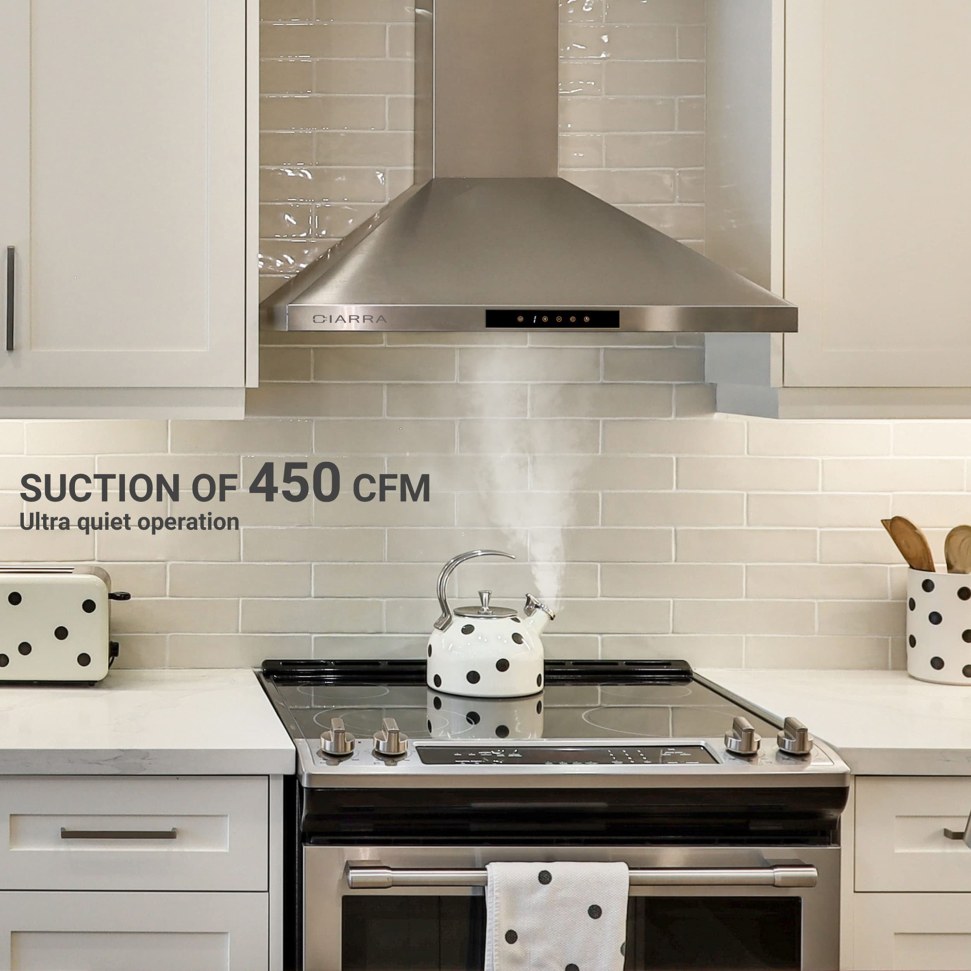 30 inch 450 CFM Stainless Steel Range Hood