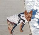 COUNTRY LIVING™ Pet Quilted Built In Harness Jacket  - Silver Paw