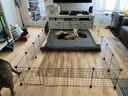 Parc Animalier, Cage Petits Animaux, Clôture Fil Métallique, Utilisation Intérieure - LIVINGbasics®