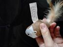 Eco-Friendly Cat Toys Teasing Mouse with Long String and Bell