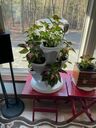Vertical Garden Pot Stackable Planter Self-Watering Flower Vegetable Gardening 3 Tier - Yardlab™