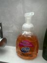 Dial Complete® Savon à mains moussant antimicrobien Original 450 ml