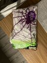 Halloween Spider Web 8oz with 8 Spiders G.Ghouls