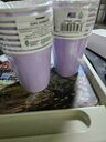 Party Paper Cup Solid Color 9oz 8Pcs