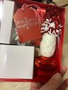 Bows & Ribbon Gift Tag Set 13pcs