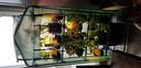 4 Tier Portable Mini Greenhouse, Warm House Plant Shed with Cover - GreenWise™
