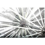 UM150S JINBEI 150CM Silver Umbrella