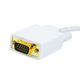 32AWG Mini DisplayPort Thunderbolt to VGA Cable White cab 6002 2