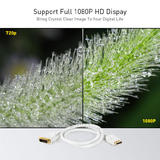PrimeCables Cab DP DVId 3ft DisplayPort Cables PrimeCables DisplayPort 1 2V to DVI D Dual link 28AWG Cable 3Ft White