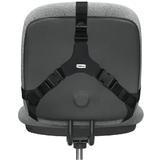 Fellowes 110 8037601 Back Rests Fellowes Professional Series Back Support with Microban Protection