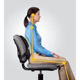 Fellowes 110 8037601 Back Rests Fellowes Professional Series Back Support with Microban Protection