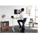PrimeCables Cab ET101 BK STM01 1 FR02 FR03 Monitor Desk Mounts Electric Sit Stand Adjust Desk Frame Black Standing Mat Foot R