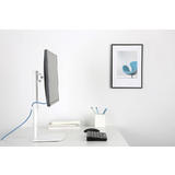 Cab LDT19 T01 Monitor Desk Mounts Single Screen Vertical Lift Monitior Stand 17 27 size
