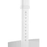 PrimeCables Cab LDT19 T01 Monitor Desk Mounts Single monitor desk mount heavy duty Screen Vertical Lift Montior Stand 17 27