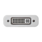 PrimeCables Cab PC 08089 USB 3 0 Adapters USB 3 1 to DVI Type C to DVI Male to Female Adapter Support 1080P