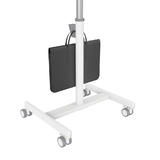 PrimeCables Cab PC 08174 Standing Desk Desk Converter Mobile Standing Desk