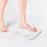 LIVINGbasics LB SCA F12E Electrical Bluetooth Body Fat Scale Smart BMI Wireless Digtial Bathroom Scale LIVINGbasics