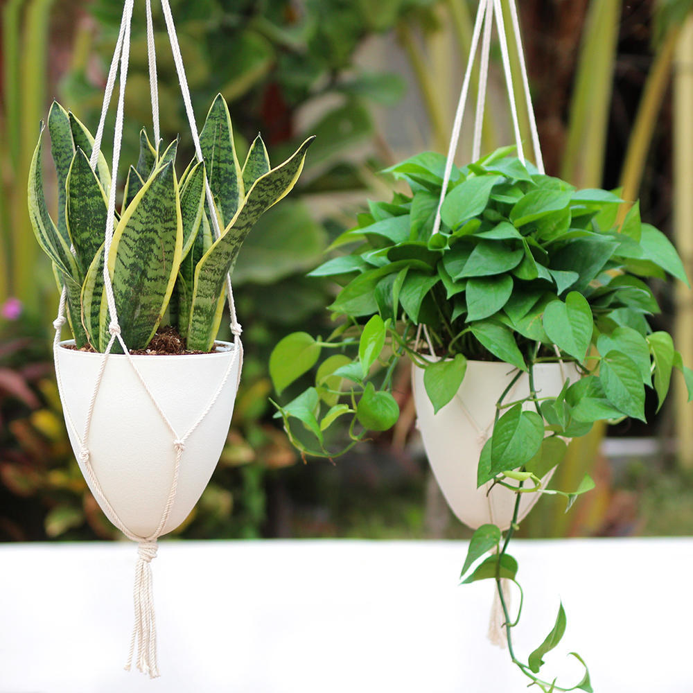 Garden Self Watering Hanging Planter Succulent Flower Pot Air Plant Holder 3PC White LIVINGbasics®