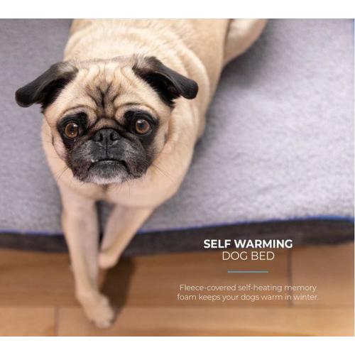 my dog ate memory foam