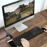PrimeCables NET BLU CX H2042A G2 USB Hubs 4 Port USB 2 0 Ultra Slim Data Hub Splitter with 5V Micro USB Power Port Black Prim