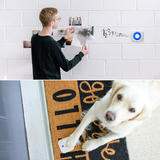 LIVINGbasics WM PD 0211213A Dog Cleaning Grooming Doorbells for dog