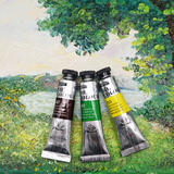 Other Brands PO1240A Paint Watercolors Pastels Vibrancy Oil Painting Colors for Professionals Artists 40ml Tube 12 Assorted C