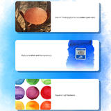 Other Brands PPWP12MTM Paint Watercolors Pastels Non toxic Portable Artist Grade Watercolor Paint Set Half Pan 12 Colors